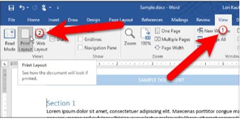 how to switch document to print layout and explore the differences between word processing software