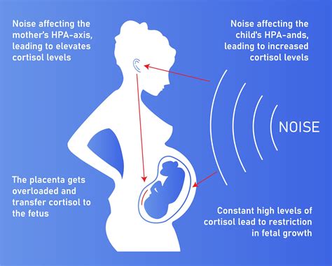 Is loud music bad for pregnancy? And does noise pollution really affect fetal development?