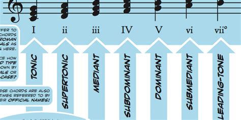 what is a scale degree in music? how does the concept of scale degrees influence the way we perceive and analyze musical structures?